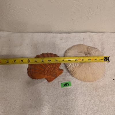 Sea shell and Mushroom coral