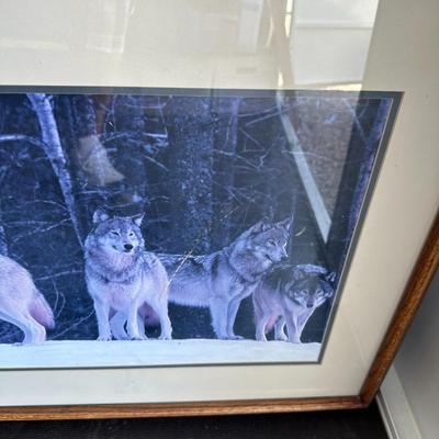 PICTURES OF WOLVES