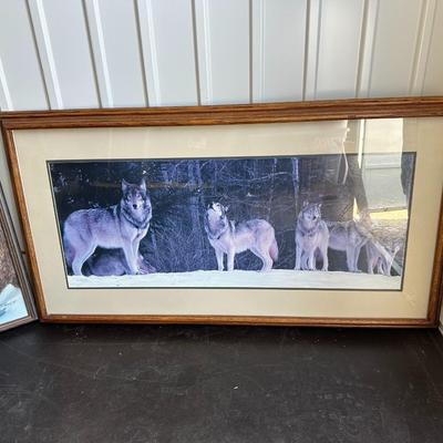 PICTURES OF WOLVES
