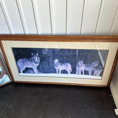 PICTURES OF WOLVES