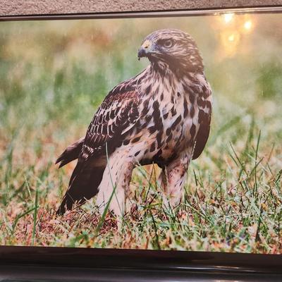 Profolio of Photographs 12x18 Suitable for Framing 40 photos