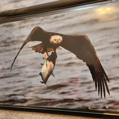 Profolio of Photographs 12x18 Suitable for Framing 40 photos