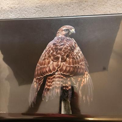 Profolio of Photographs 12x18 Suitable for Framing 40 photos