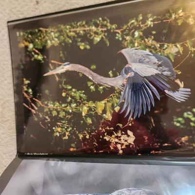 Profolio of Photographs 12x18 Suitable for Framing 40 photos