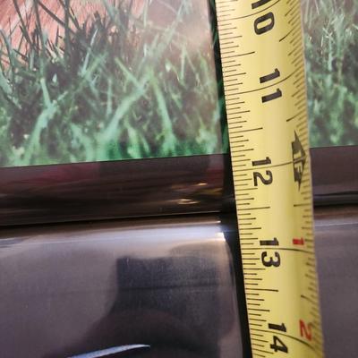 Profolio of Photographs 12x18 Suitable for Framing 40 photos