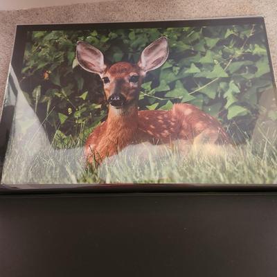 Profolio of Photographs 12x18 Suitable for Framing 40 photos