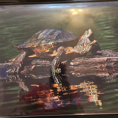 Profolio of Photographs 12x18 Suitable for Framing 40 photos