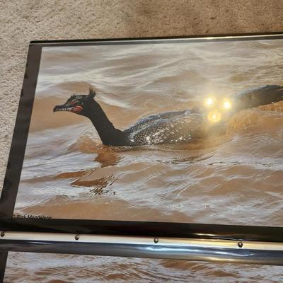 Profolio of Photographs 12x18 Suitable for Framing 40 photos