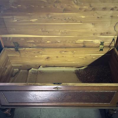 Vintage Forest Park Cedar Trunk