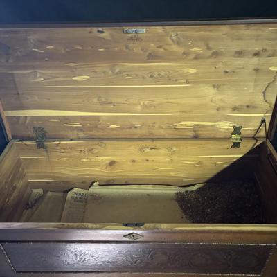Vintage Forest Park Cedar Trunk