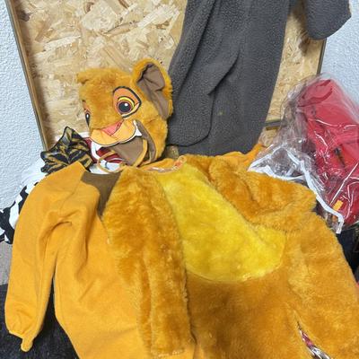 LOT 154B: Collection of Dress Up Clothes / Halloween Costumes w/ 3 Trunks