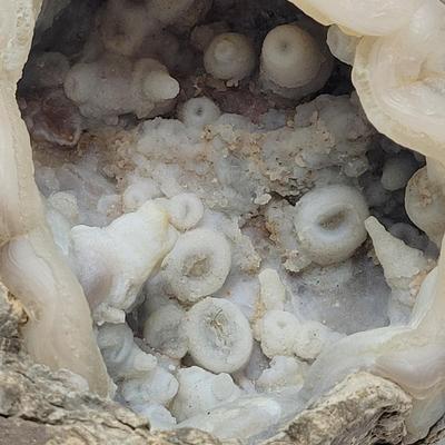 Three Blue Chalcedony Geodes (B1-EL)