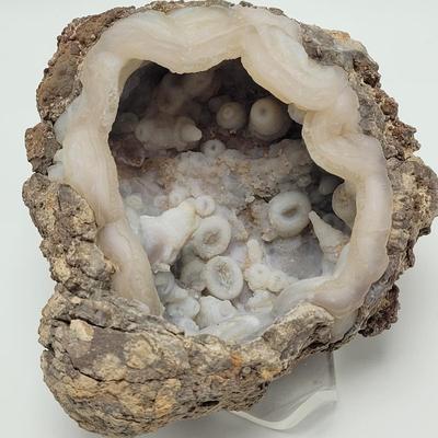 Three Blue Chalcedony Geodes (B1-EL)