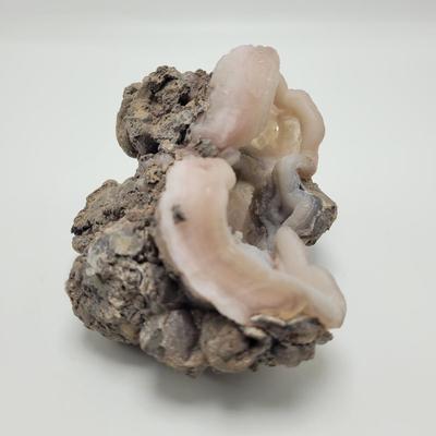 Three Blue Chalcedony Geodes (B1-EL)