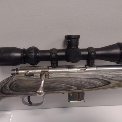 Marlin Model 917VS .17 H.M.R. Caliber Rifle with BSA Sweet 17 Scope Wood Grain Finish 21" Barrel