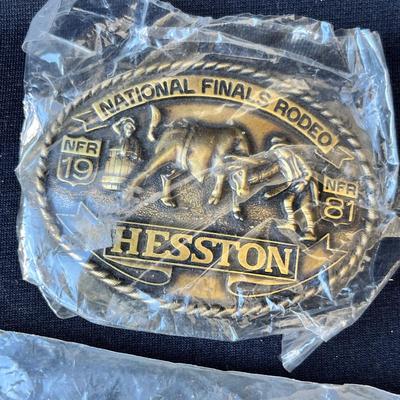 Lot 171 Belt buckles and medallion