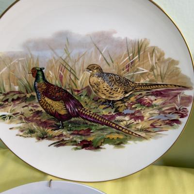 Plate Collection 