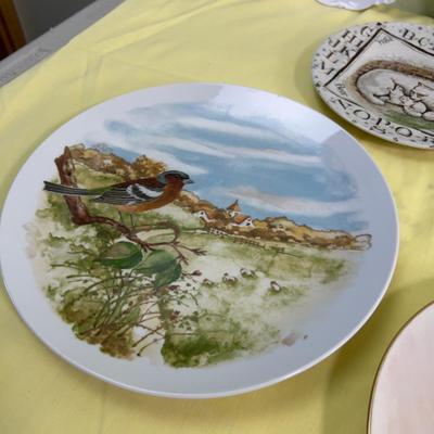 Another Plate Collection, As Scene in the Photos