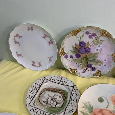 Another Plate Collection, As Scene in the Photos