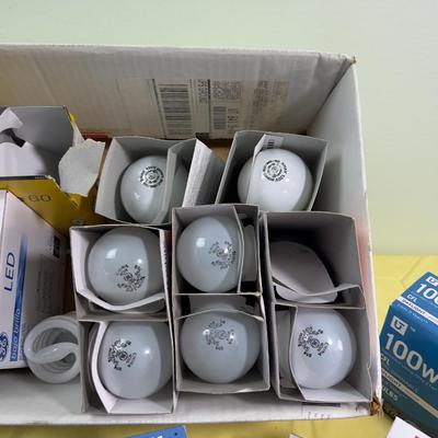 All the Light Bulbs in the World 