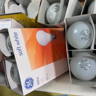 All the Light Bulbs in the World 