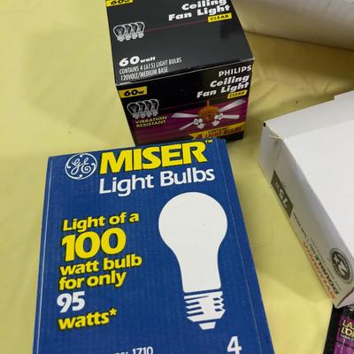 All the Light Bulbs in the World 