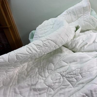 Mint Pastel Queen Full Satiny Bedspread