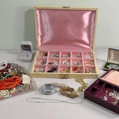 Big Lot of Costume Jewelry 