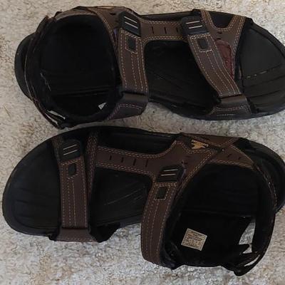 Landshark Sandles