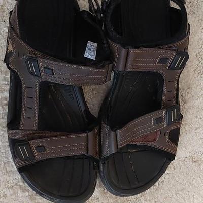 Landshark Sandles