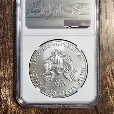 2020 Eagle s$1 ms 69