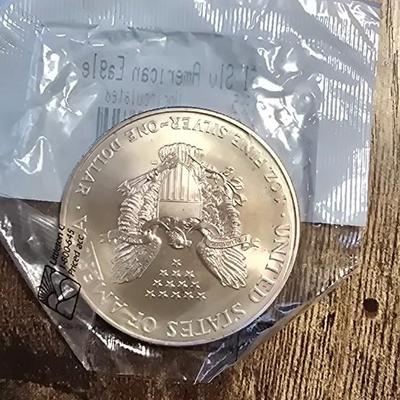 1995 Silver American Eagle $1