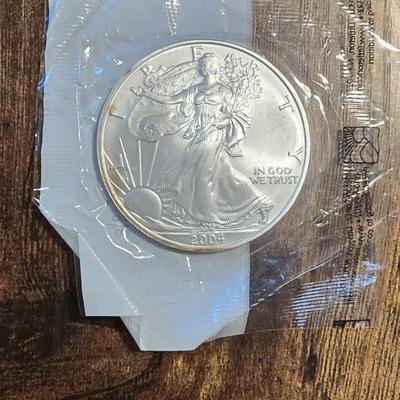 2004 Eagle uncirculated SILVER COIN