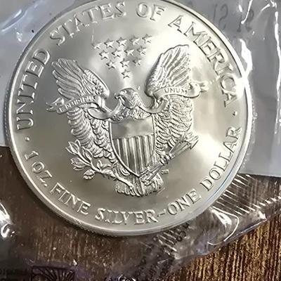 2002 Eagle uncirculated SILVER COIN
