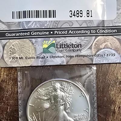1991 Eagle uncirculated SILVER COIN