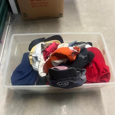 Assorted Caps and Hats