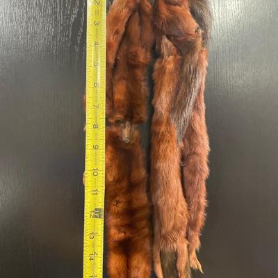 Arctic mink wrap