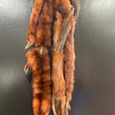Arctic mink wrap