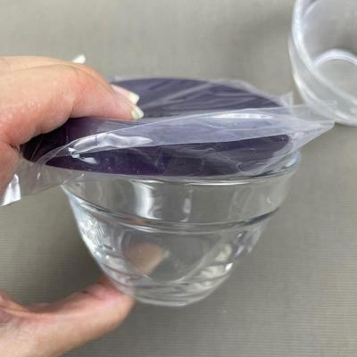Set of 4 Glass Prep Bowls with Silicone Lids New