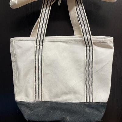 Lands End Storyline collection canvas bag