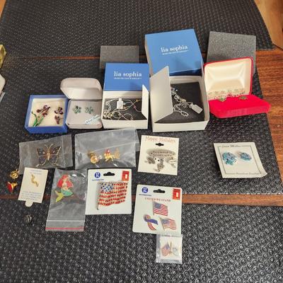 Costume Jewelry Lot Pins ,Lia Sophia Necklaces Earings