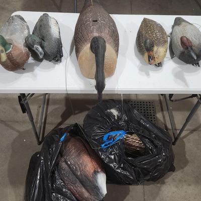 Sale Photo Thumbnail #199: Vintage Decoy Duck over ten total ducks all in working condition Mallard