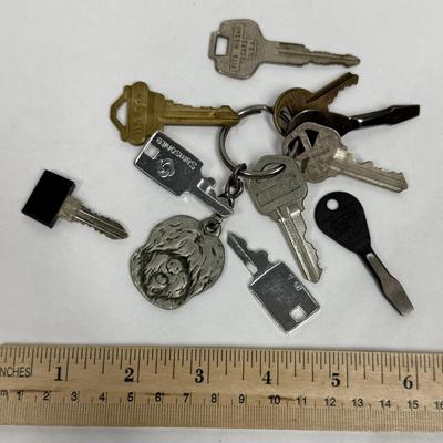Sale Photo Thumbnail #187: Vintage automotive, house, padlock and luggage keys.