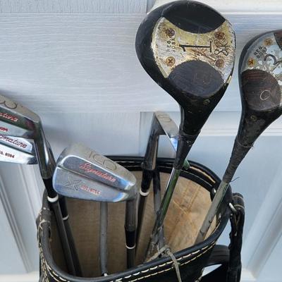 Sale Photo Thumbnail #295: Classic Golf clubs Driver Irons & bag Signature

Will receive all items pictured as is