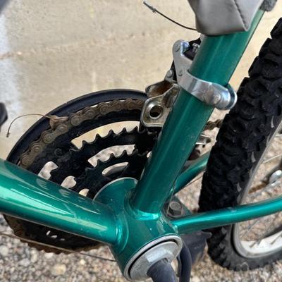 ROADMASTER CAMBRIDGE MOUNTAIN BIKE