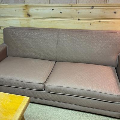 Heavy Hide-A-Bed