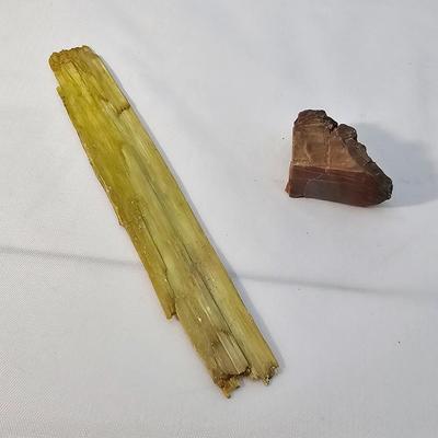 Petrified Wood Specimens (B1-JS