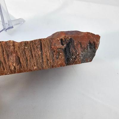 Petrified Wood Specimens (B1-JS