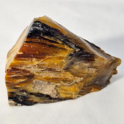 Petrified Wood Specimens (B1-JS
