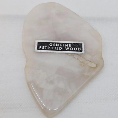 Petrified Wood Specimens (B1-JS